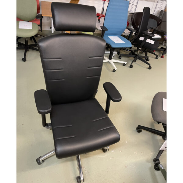 Abverkauf Bioswing 560_Leder schwarz_einzeln