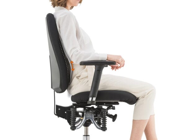 haider bioswing 260 iq lordosenstuetze stufenlos verstellbar ergopoint