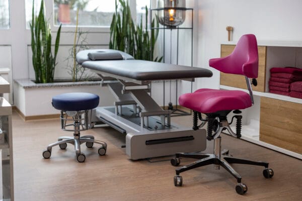 haider bioswing foxter boogie strech showcase physiotherapie praxis chiropraktik ergopoint